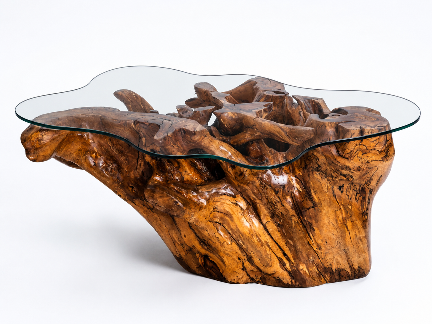 Sculptural Costa Rican Root Coffee Table Reserva Collection — No. 06