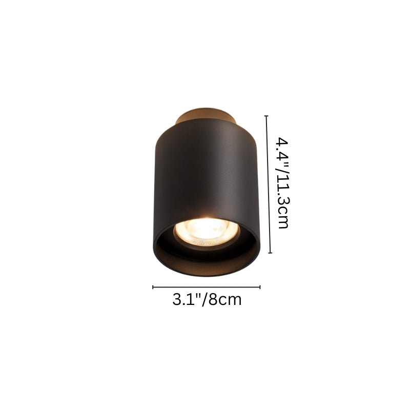 Lucinda Ceiling Light.