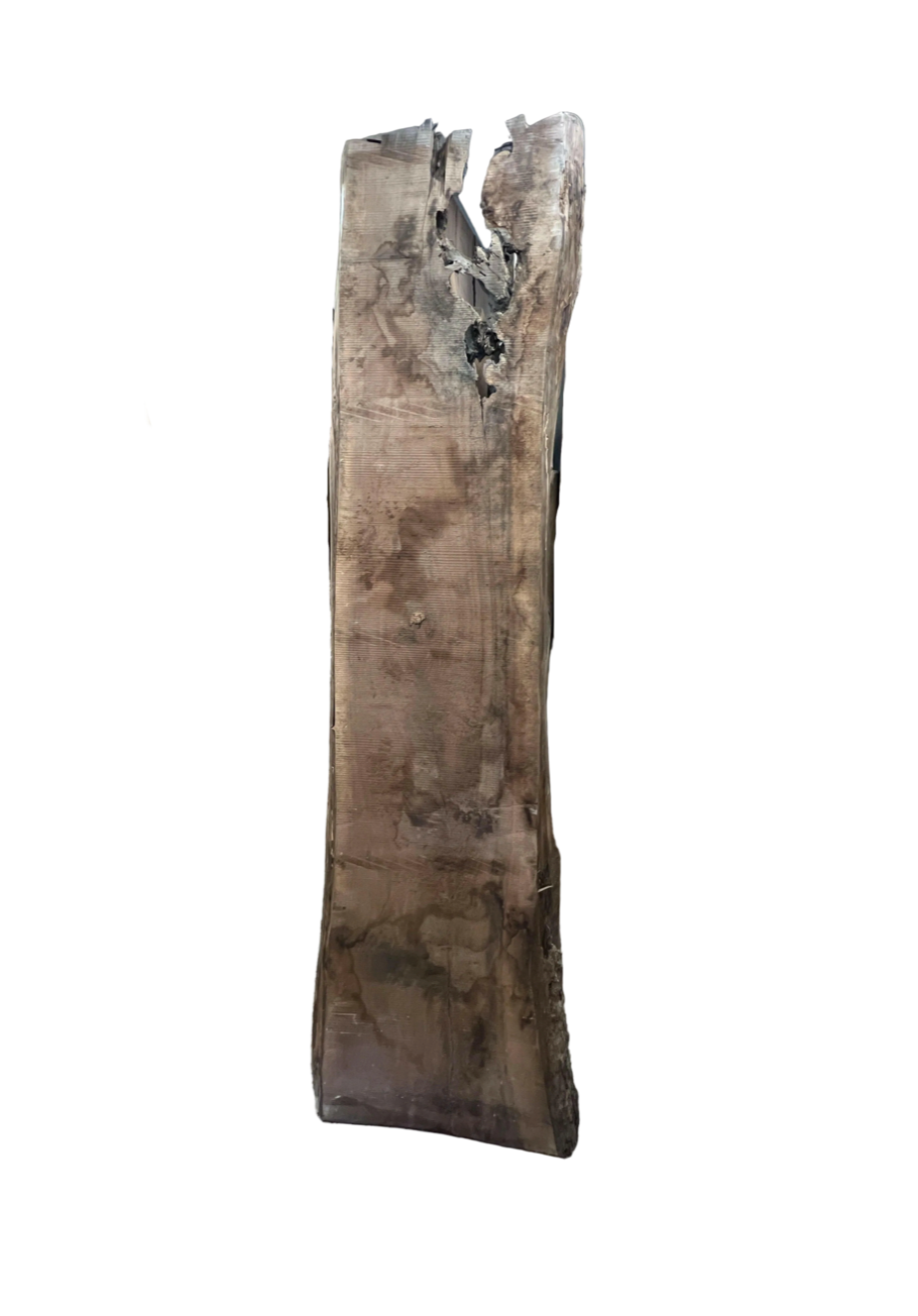 100" Walnut Slab