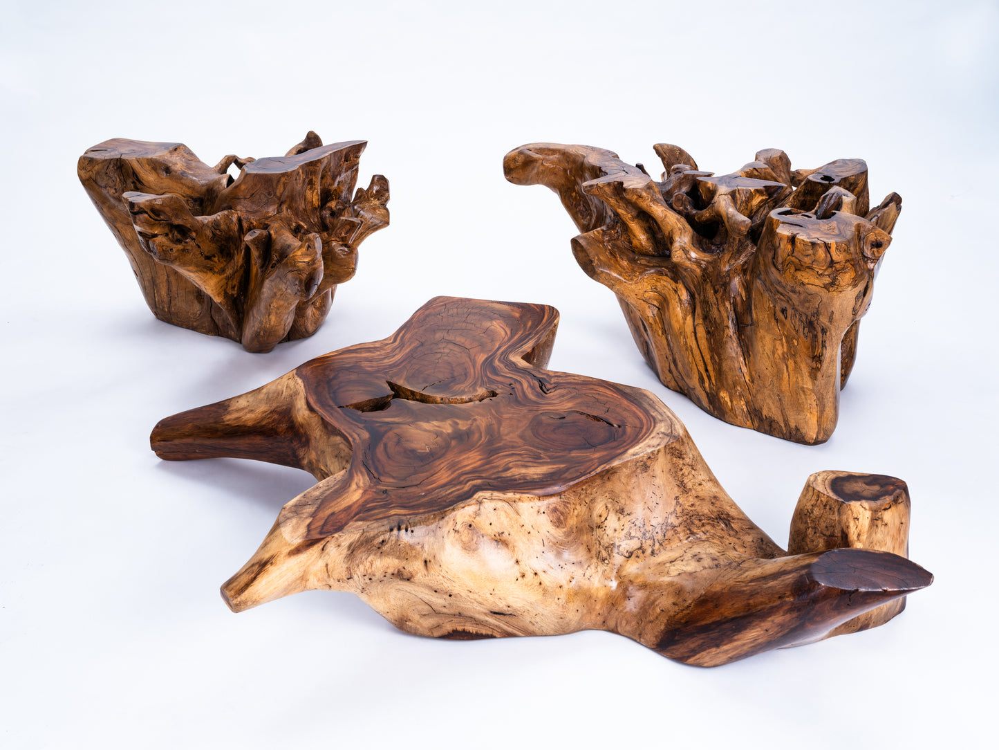 Sculptural Costa Rican Root Coffee Table Reserva Collection — No. 08