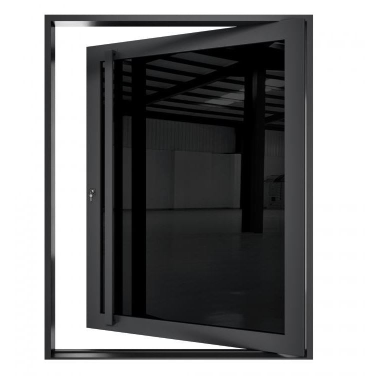 Black Opal Pivot Door