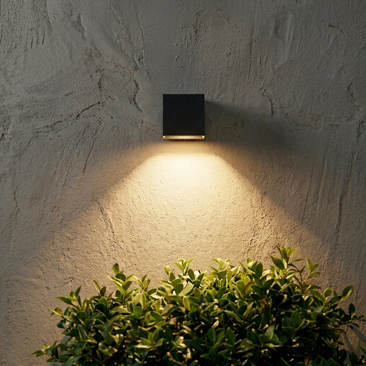 Evelyn Outdoor Wall Lamp.