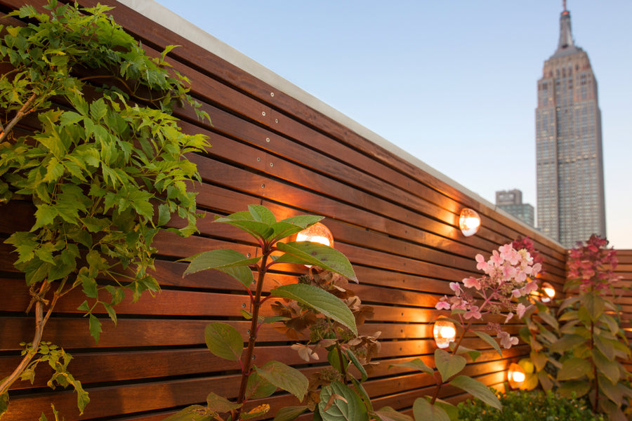 Rooftop Sanctuary