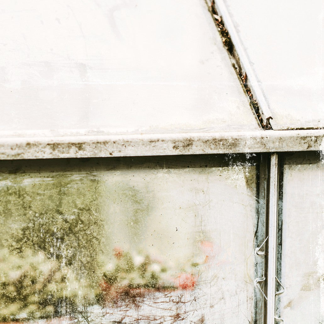 Greenhouse Series IV