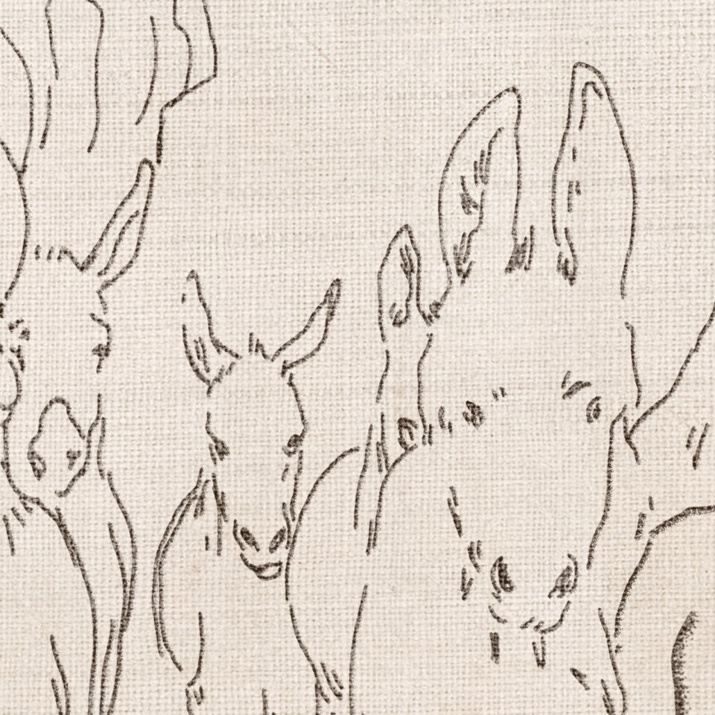 Rustic Donkeys