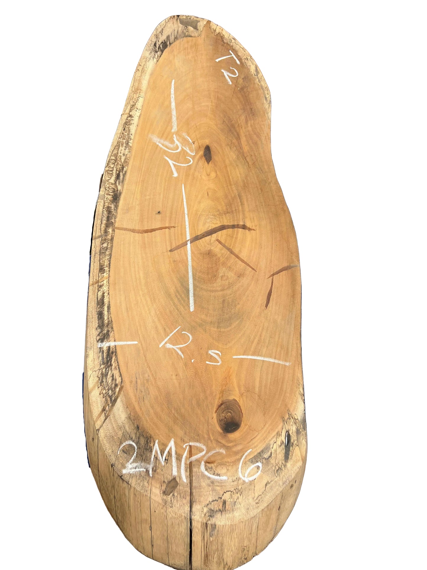 The Carpentry Shop Co. Carpentry & Woodworking 2" Thick Monkey Pod Cross Cut Slab