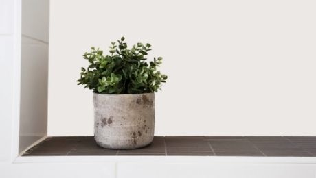 How To Decorate Your Home in a Greener Way.