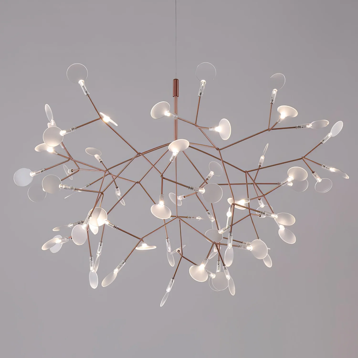 Heracleum Chandelier