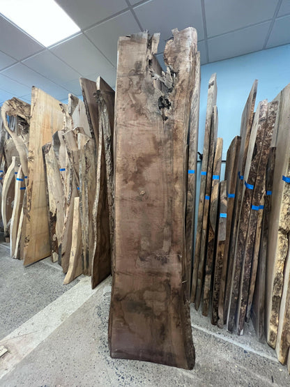 100" Walnut Slab