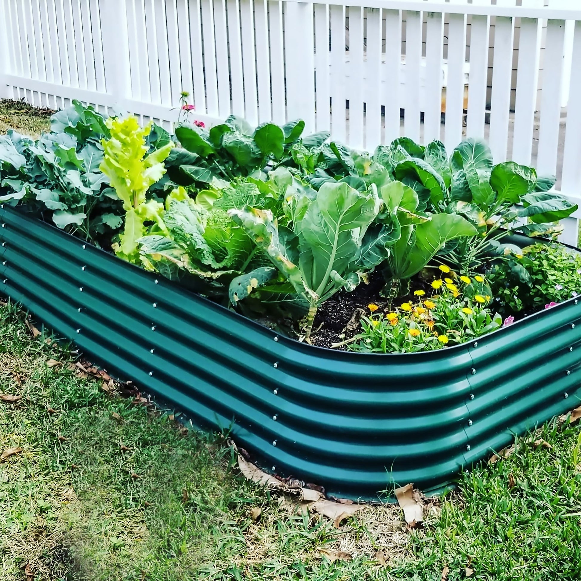 17" Tall 10 In 1 Jumbo Modular Metal Raised Garden Bed Kit.