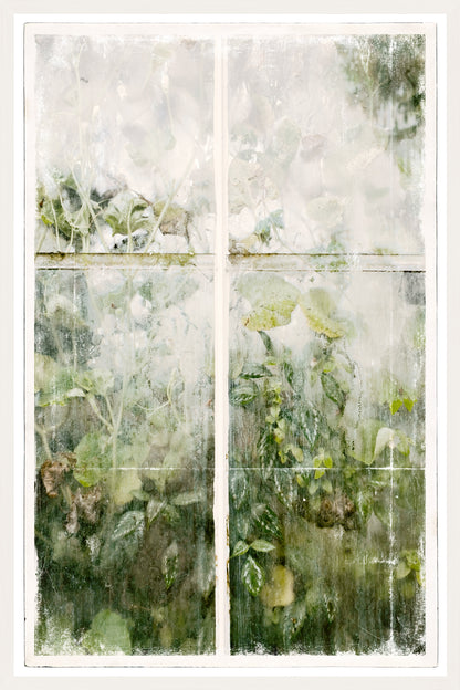 Greenhouse Series V