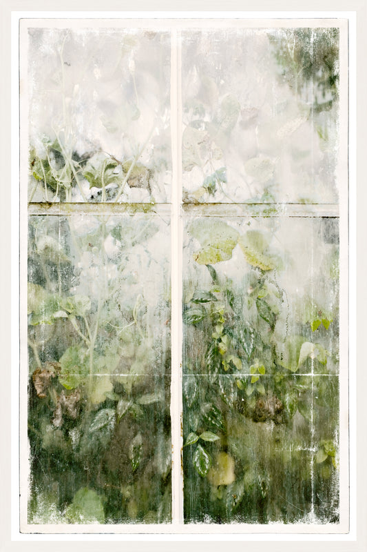 Greenhouse Series V