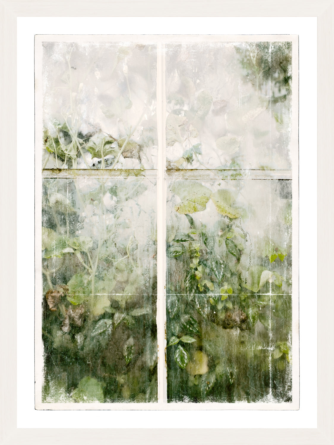 Greenhouse Series V