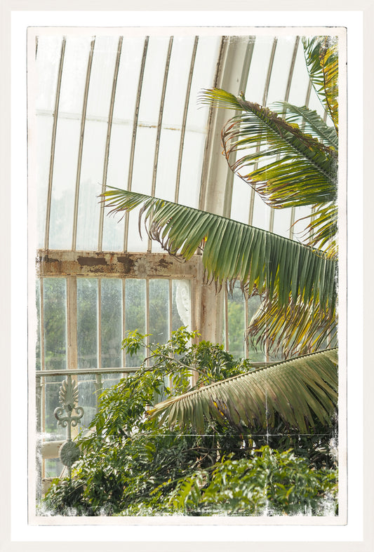 Greenhouse Series VII