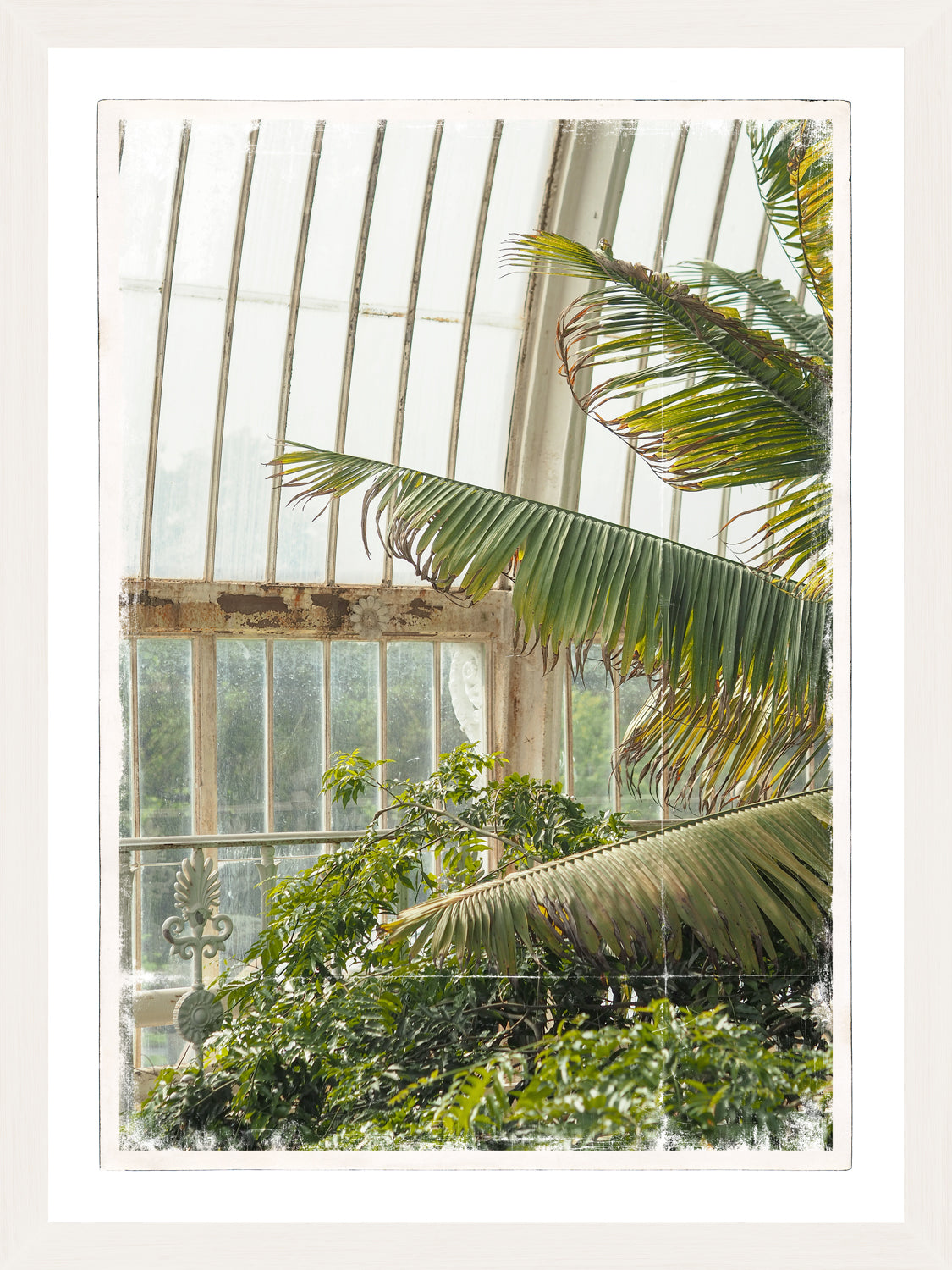 Greenhouse Series VII