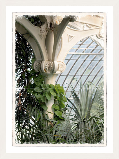 Greenhouse Series VIII