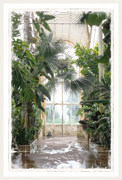 Greenhouse Series IX