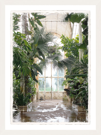 Greenhouse Series IX