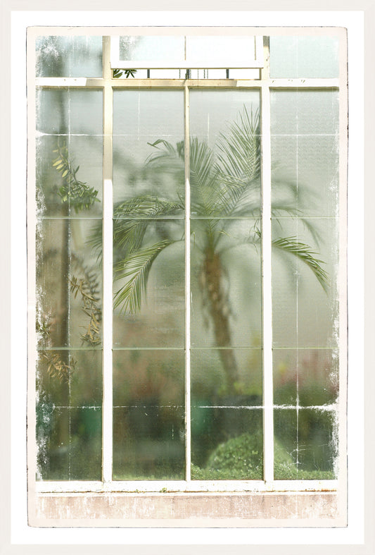 Greenhouse Series XII
