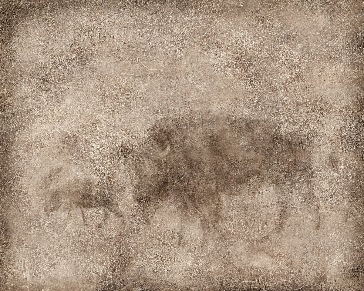 Animal Fresco, Bison & Calf gallery wrap canvas
