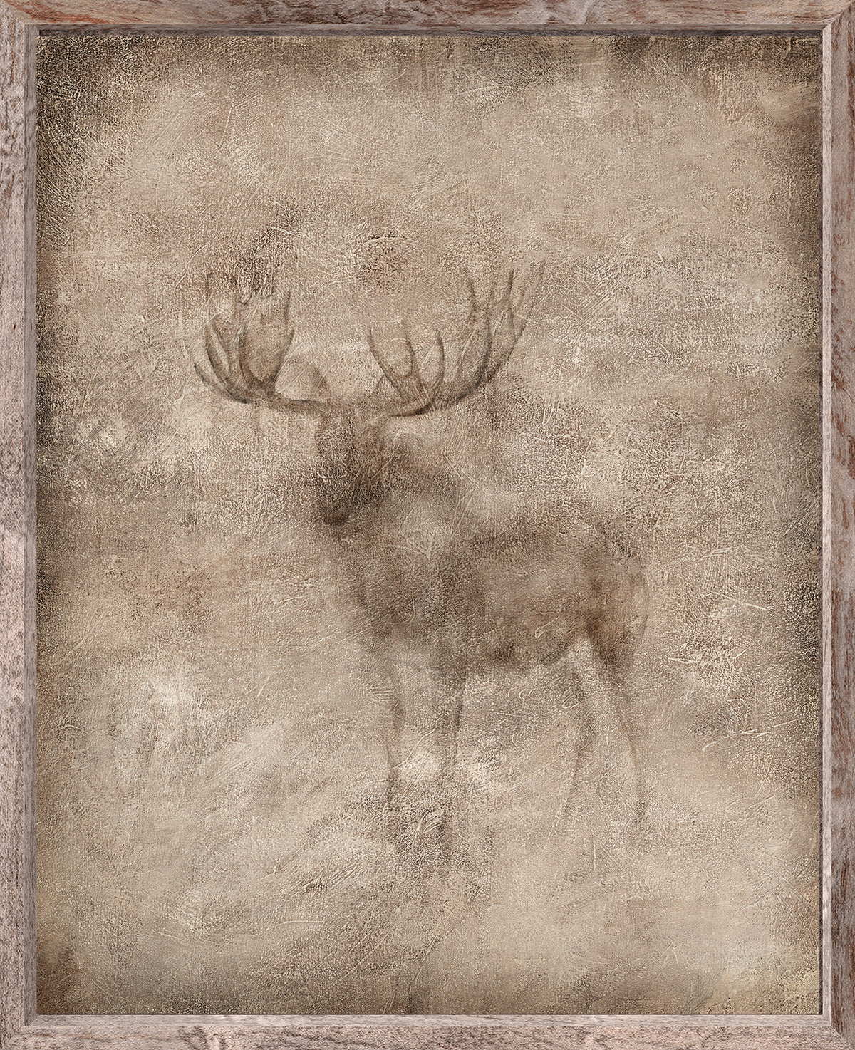 Animal Fresco, Moose framed canvas