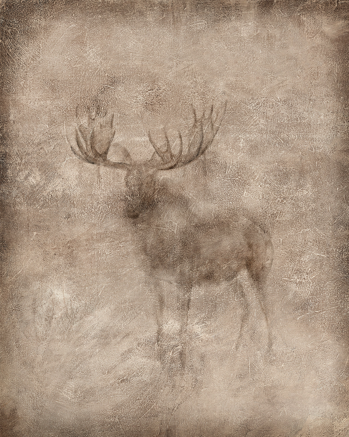 Animal Fresco, Moose gallery wrap canvas