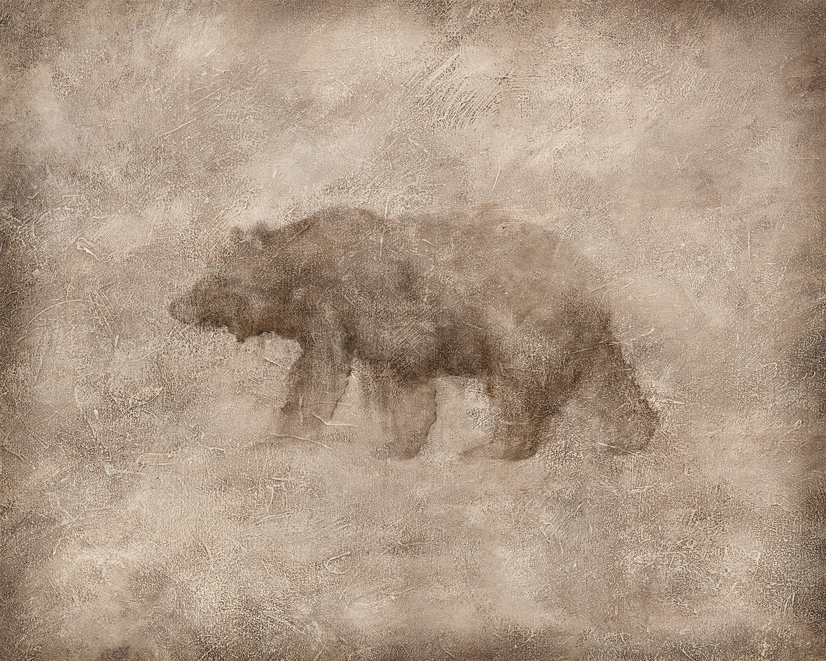 Animal Fresco, Bear gallery wrap canvas