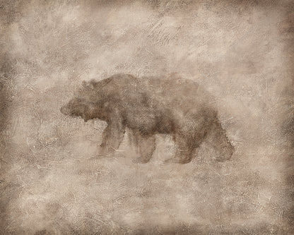 Animal Fresco, Bear gallery wrap canvas