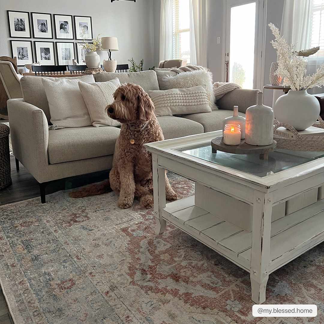 Emke Flat Pile Washable Rug - Clearance.
