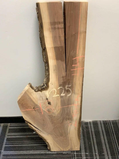 44” Walnut slab