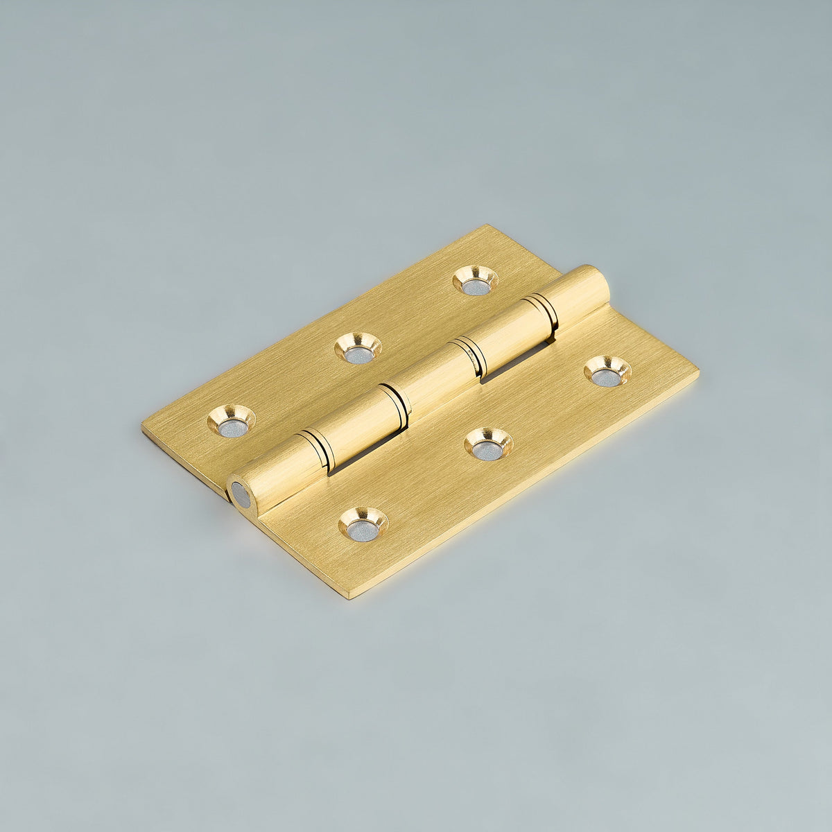 Neptune Washer Cabinet Hinge.
