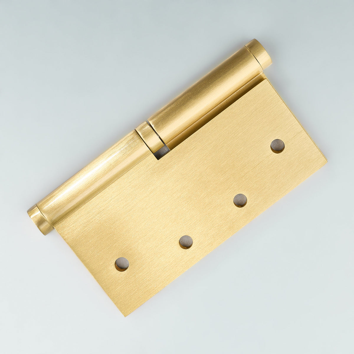 Apollo Lift-Off Door Hinge.