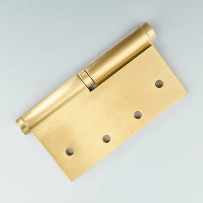 Apollo Lift-Off Door Hinge.