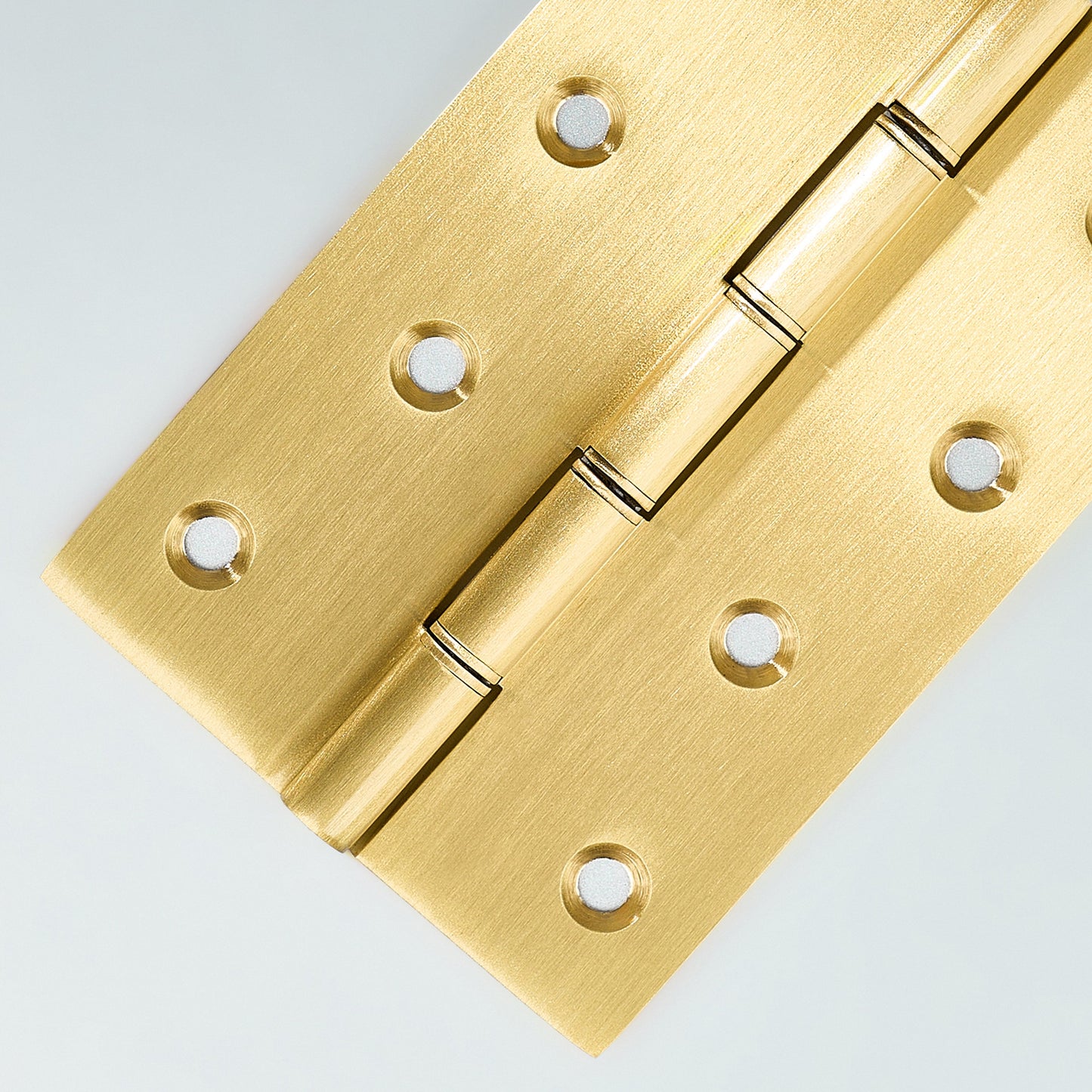 Neptune Washer Cabinet Hinge.