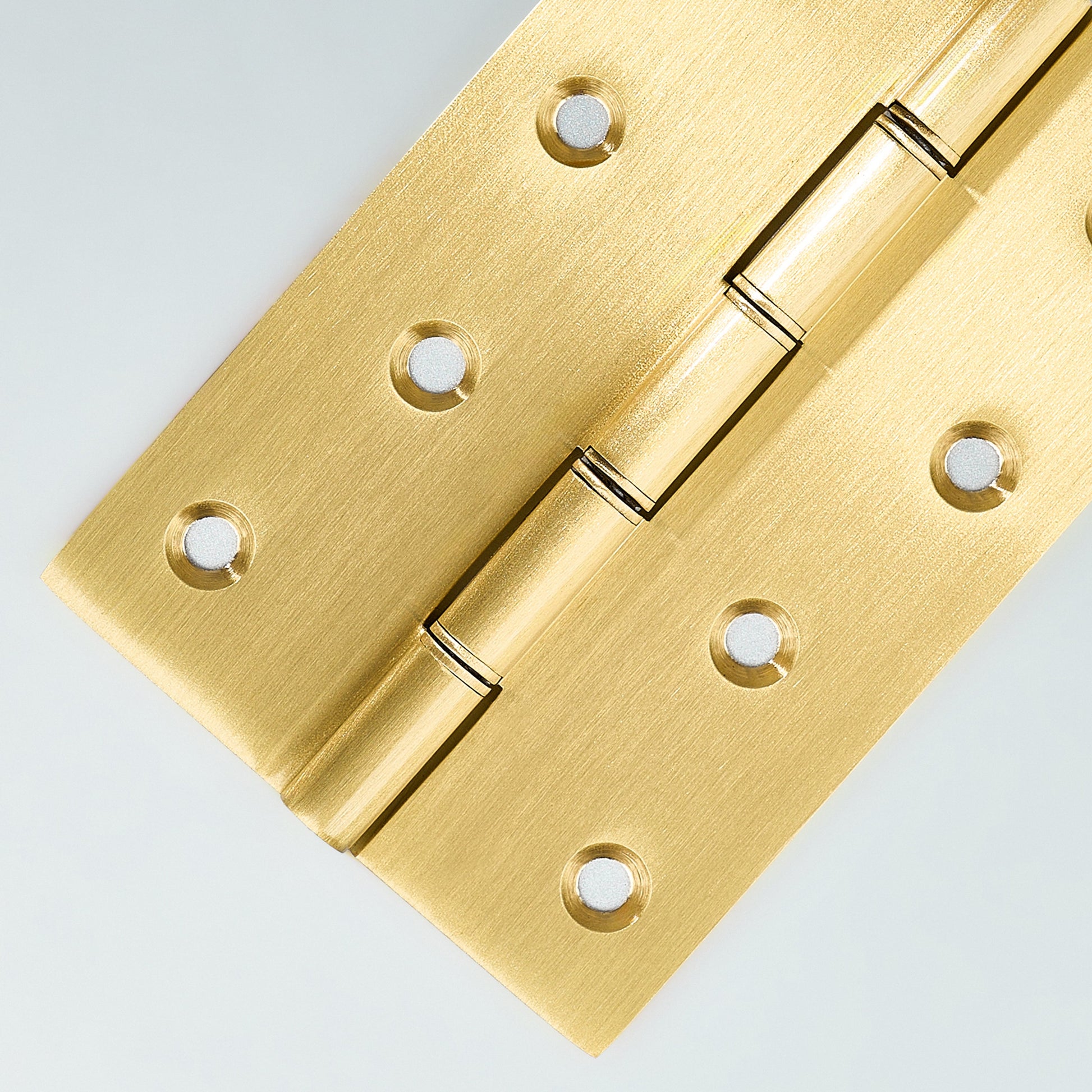 Neptune Washer Cabinet Hinge.