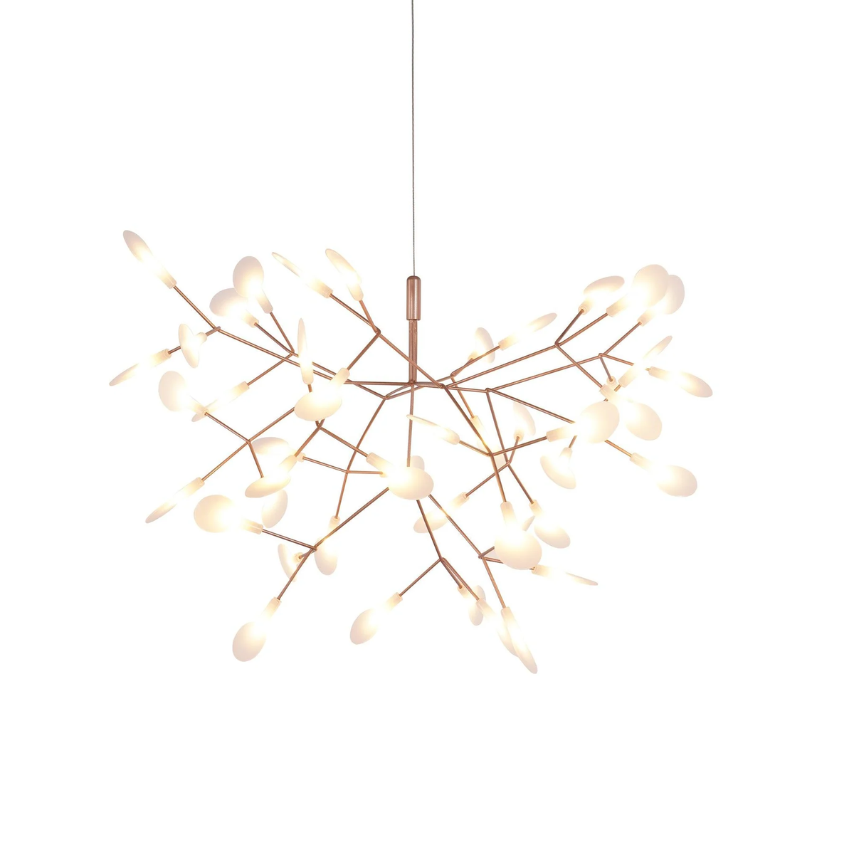 Heracleum Chandelier
