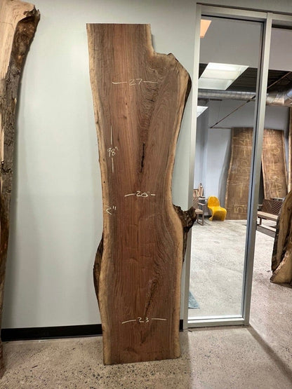 Losa de nogal negro de 98"