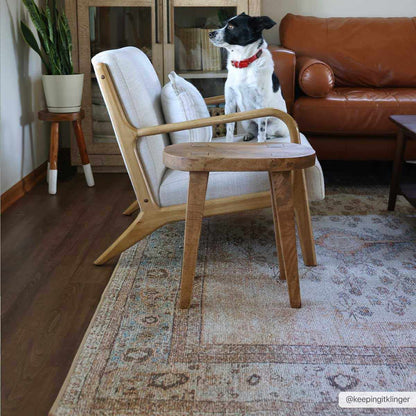 Analu Non-Slip Washable Rug.