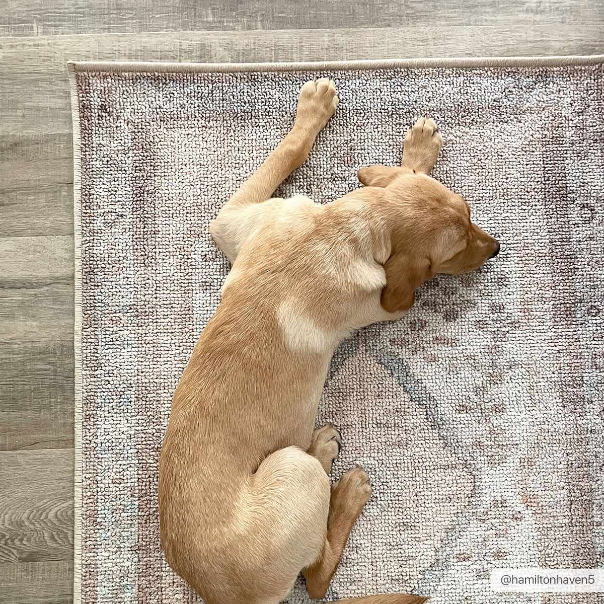 Analu Non-Slip Washable Rug.