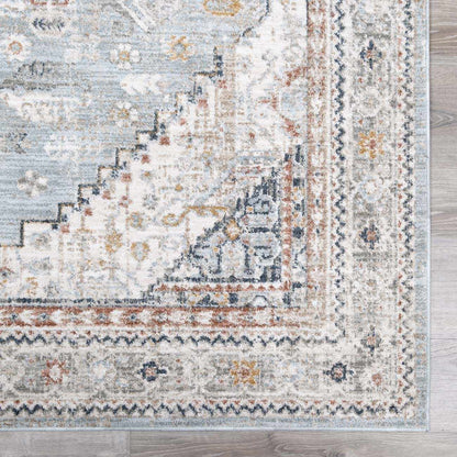 Kouta Gray Blue Area Rug.