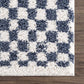 Kieu Blue & White Checkered Area Rug.