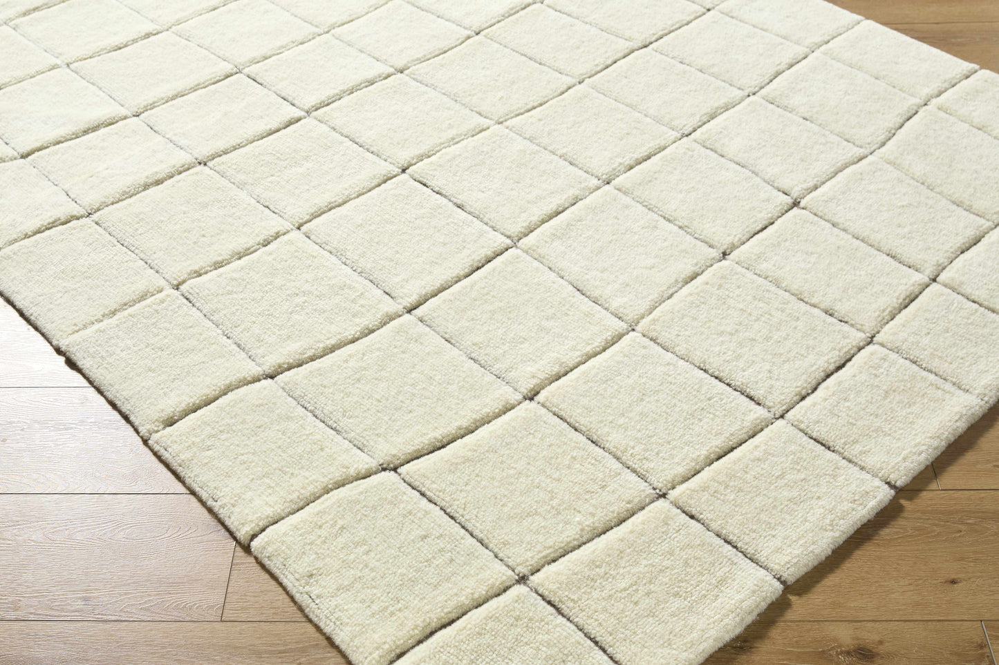 Caolan Washable Wool Rug