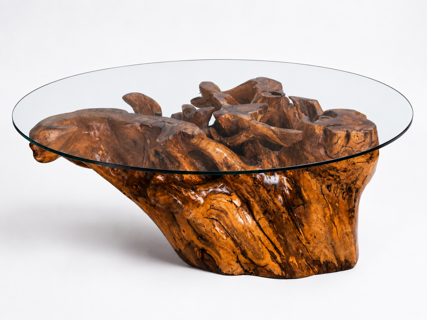 Sculptural Costa Rican Root Coffee Table Reserva Collection — No. 06