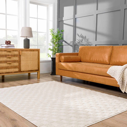 Keesa Checkered Area Rug