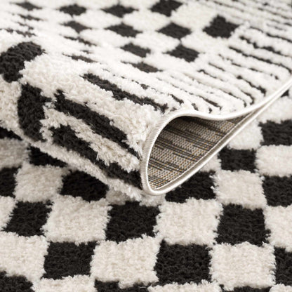 Leryn Black & White Checkered Area Rug.