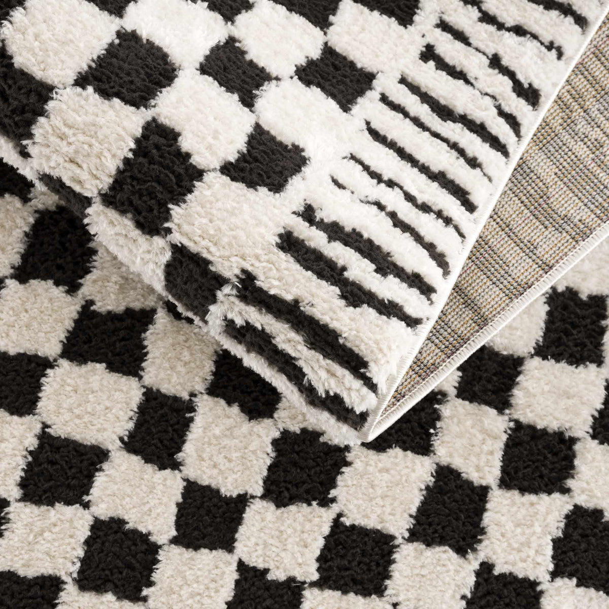 Leryn Black & White Checkered Area Rug.