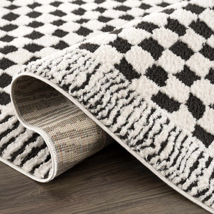 Leryn Black & White Checkered Area Rug.
