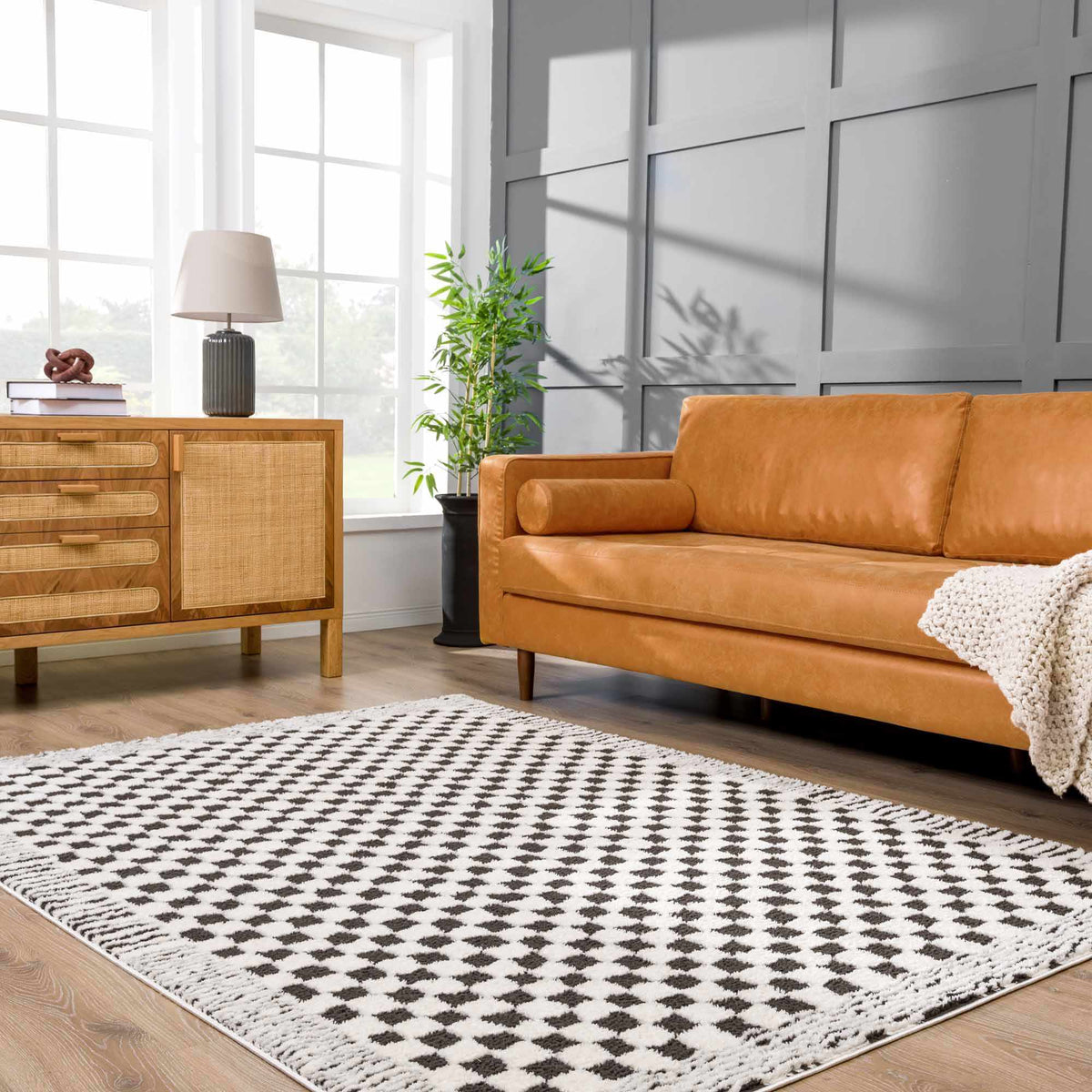 Leryn Black & White Checkered Area Rug.