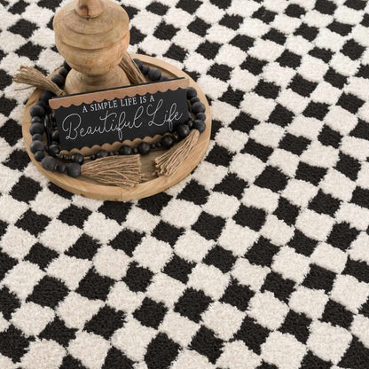 Leryn Black & White Checkered Area Rug.