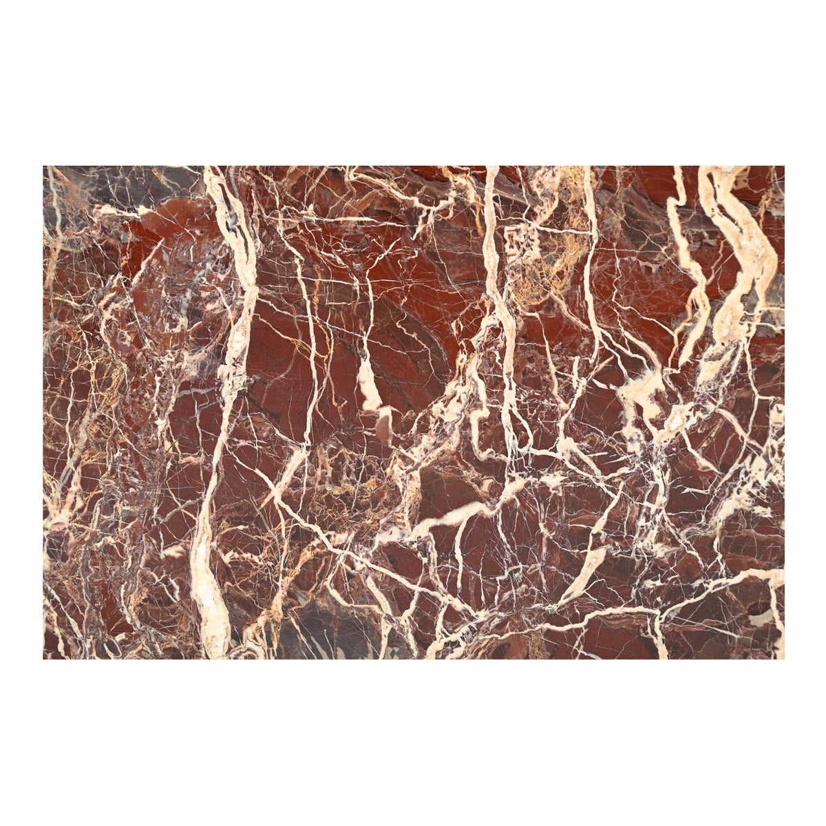 Rosa Coffee Table Rosso Levanto Marble image 5